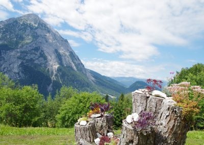 Grimming von Wörschachwald aus gesehen und Blick Richtung Dachstein